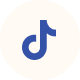 tiktok icon