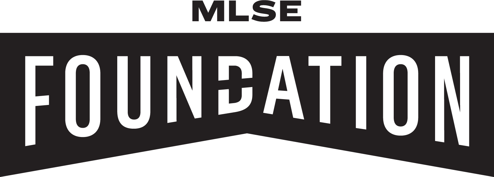 MLSEF_logo